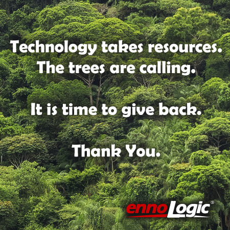 ennoLogic customers planted over 5000 trees in 2017 with TreeSisters.org
